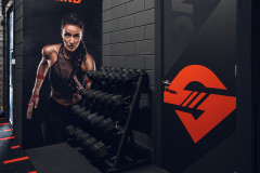 Gym Steady Sport Waardenburg dumbbells